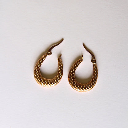 Gilded Crescent Hoop Earrings